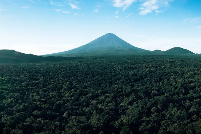 青木ヶ原樹海の上空から見た富士山