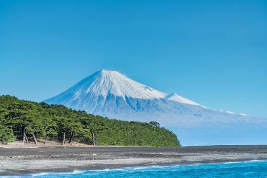 松林越しに富士山を望む海岸の風景